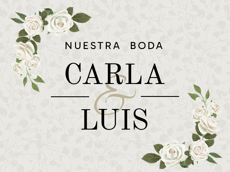Tradicional Católica